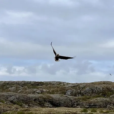 Holiday home Family With Views Of Donnamannen Mountain