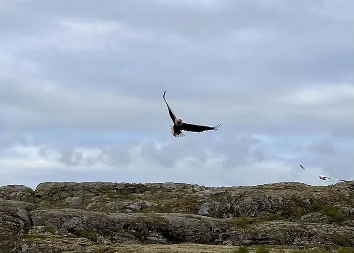 Vakantiehuis Family With Views Of Donnamannen Mountain